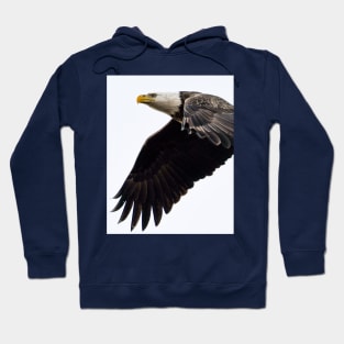 An Adult Bald Eagle In Flight Hoodie